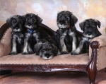 Jordan Litter; photo by Laurie J. Erickson